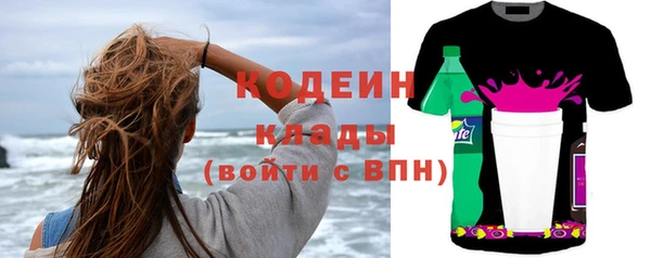 индика Верхний Тагил