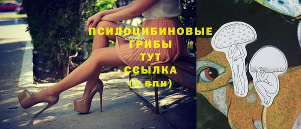 мяу мяу мука Тихвин