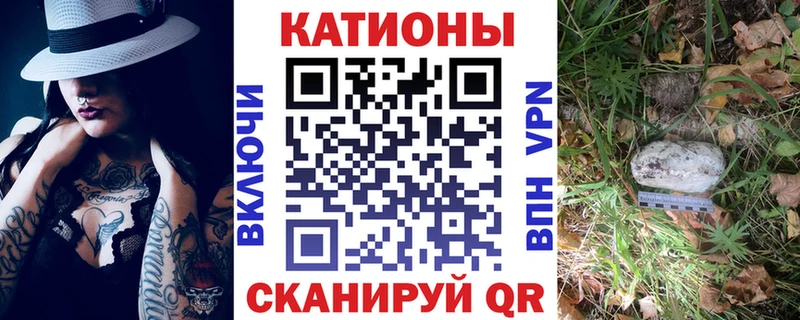 МЯУ-МЯУ мяу мяу Канск