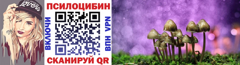 дарк нет формула  Канск  Псилоцибиновые грибы Magic Shrooms  купить наркотики цена 